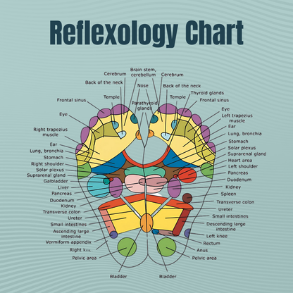 FeetyNew™ ReflexTherapy Socks